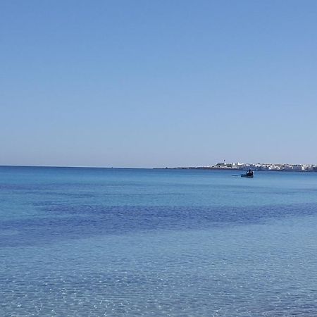 Appartement Vue Sur Mer Turquoise 마흐디아 외부 사진